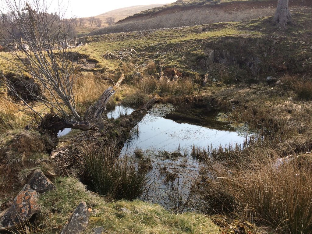 Sacred Wells Event Kicks off Galloway Glens ‘Hidden Culture’ Programme