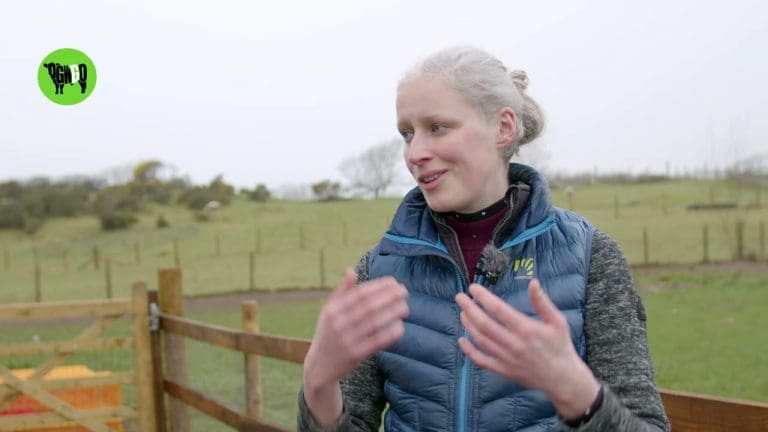 Maggie Fleming Animal Hospice Appeals For Help To Feed 152 Rescued Cockerels