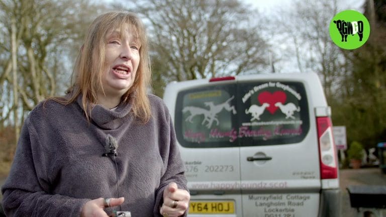 The Search For Daisy The Missing Greyhound Continues