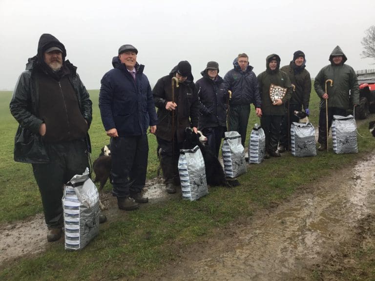 Dumfries and Kirkcudbright Sheep Dog Team Win Border Cup