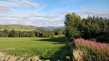 New Natural Capital team to help drive just and fair economy in South 