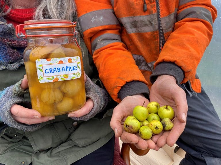 Launch Of The Galloway ‘Native’ Crab Apple Project