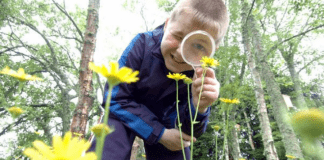 Thousands of pupils benefit from outdoor learning
