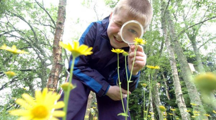 Thousands of pupils benefit from outdoor learning