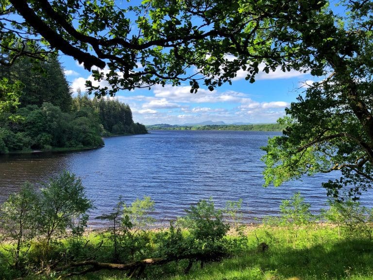 Loch Ken Ranger Service launches first ever education and events programme