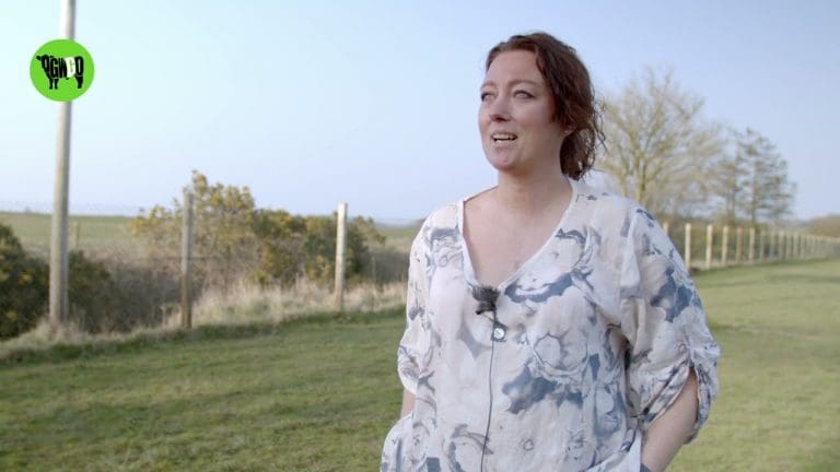 Tina Duncan Is Fundraising To Deliver Aid & Volunteer At A Ukranian Border Dog Shelter