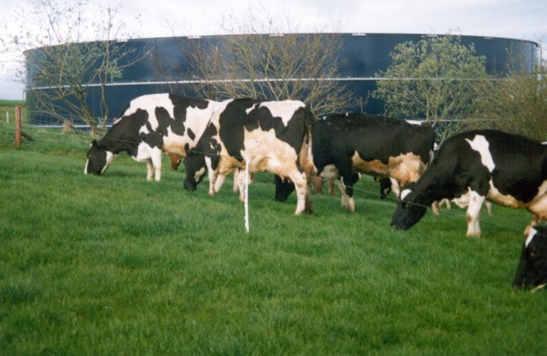 CALLS FOR SLURRY STORAGE FUNDING TO MEET NEW RULES