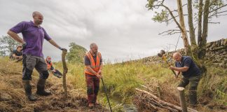 SPRING BRINGS SIGNS OF RECOVERY AS THREAVE LANDSCAPE PROJECT PROGRESSES