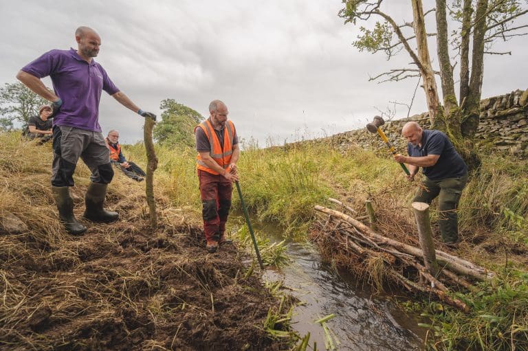 SPRING BRINGS SIGNS OF RECOVERY AS THREAVE LANDSCAPE PROJECT PROGRESSES