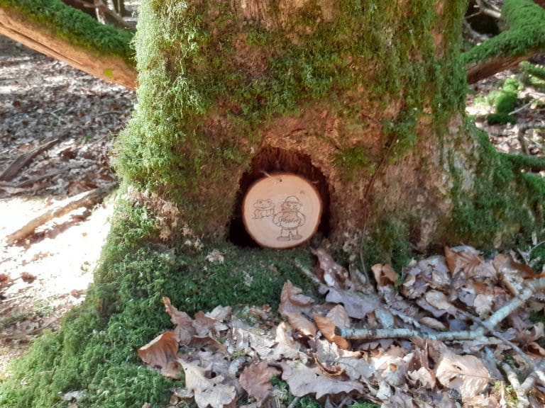 Rediscover Shambellie House This Easter With Their Woodland Sprite Trail & Lantern Making