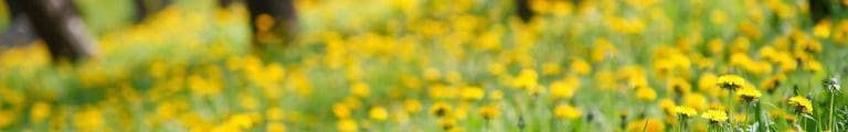 Warmer but unsettled for many ahead of Easter