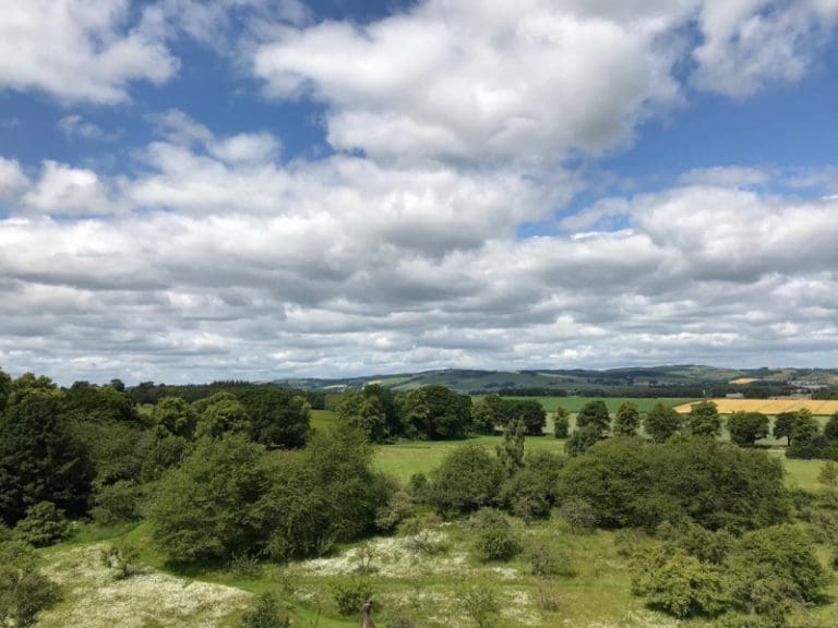 Tree-planting Causing Increase in Rural Land Prices