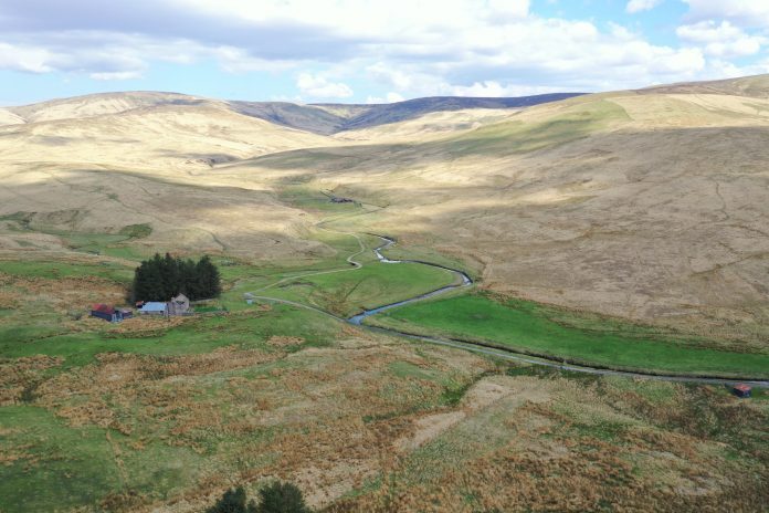 Deadline extension agreed for Langholm community’s at-risk nature and climate bid