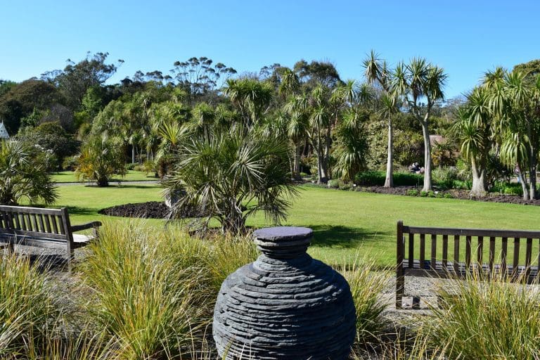 Take Part In a Painting Class in the Picturesque Logan Garden 