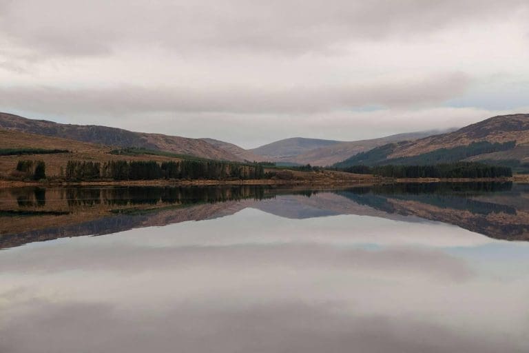 Transformative Innovation Agency Metta Partners With South of Scotland Enterprise (SOSE) To Support Local Business Owners in the South of Scotland.
