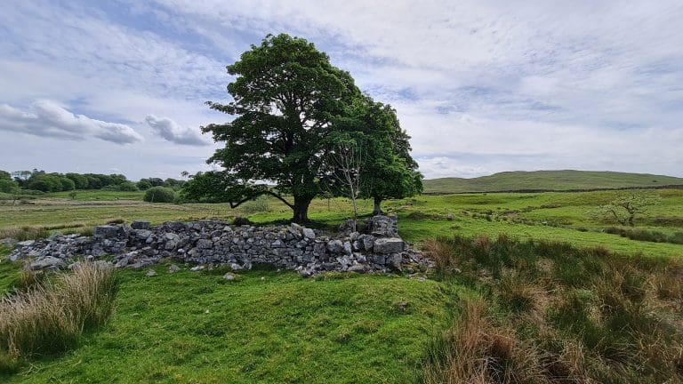 Join an investigation Of Chapelyard Near Dalry – A Chapel & Post Medieval Farming Settlement?