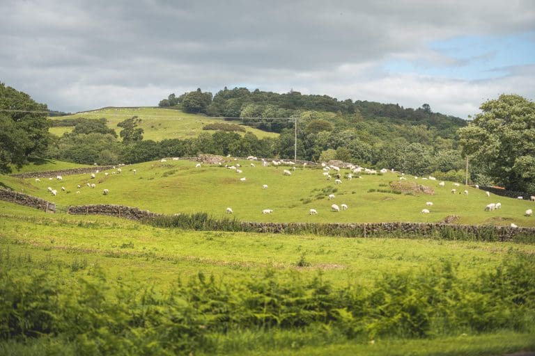Land Use Conversations: A Glenkens Future?