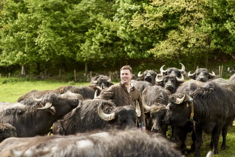 ALDI SCOTLAND RETURNS TO ROYAL HIGHLAND SHOW WITH MORE SCOTTISH SUPPLIERS THAN EVER BEFORE 