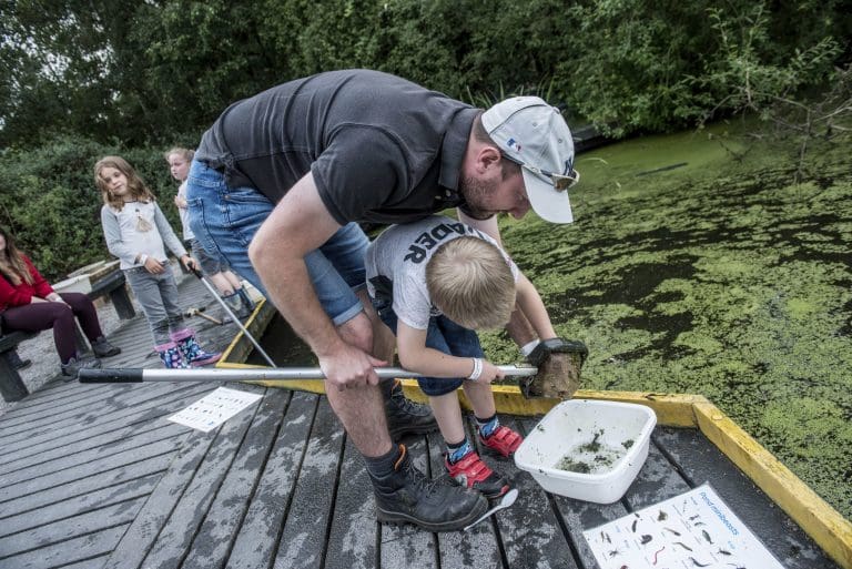 Kickstart your Big Wild Summer at RSPB Scotland nature reserves