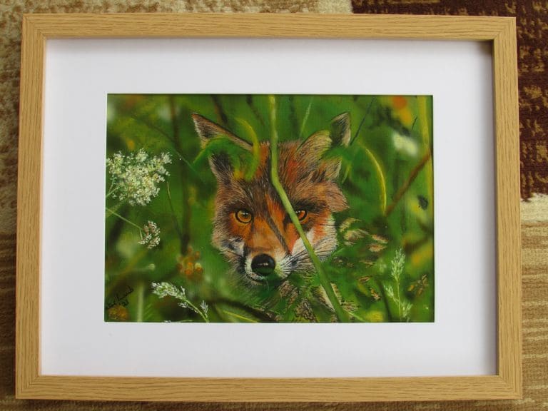 Wondrous Wildlife Paintings at Logan Botanic Garden 
