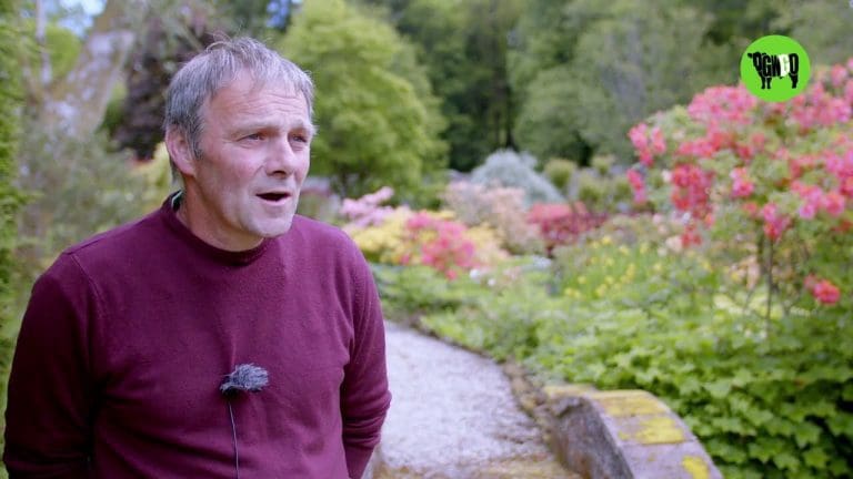 Discover The Private Gardens Of Dabton House Nr Thornhill With A Guided Summer Tour