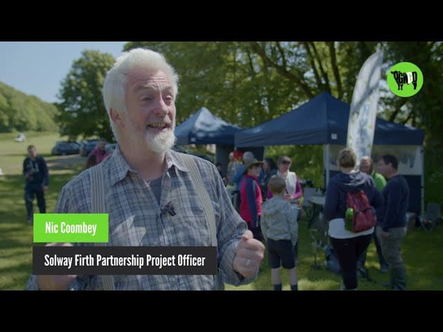 Kirkcudbright Bay Bioblitz Proves A Hit With Nature Hunters