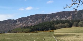 Case studies in demand to highlight land and nature improvements