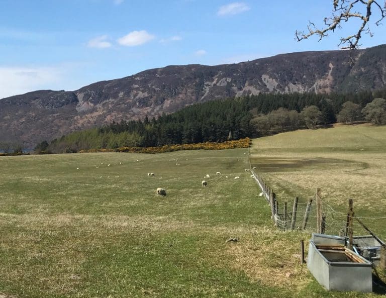 Case studies in demand to highlight land and nature improvements