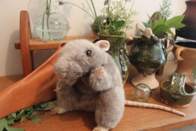 Discover More About The History & Folklore Of Herbs At Shambellie House
