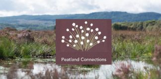 Galloway Peatlands – there’s something in the water…