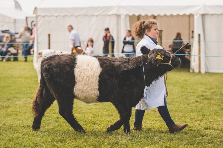 The Stewartry Show Returns With A Bang!