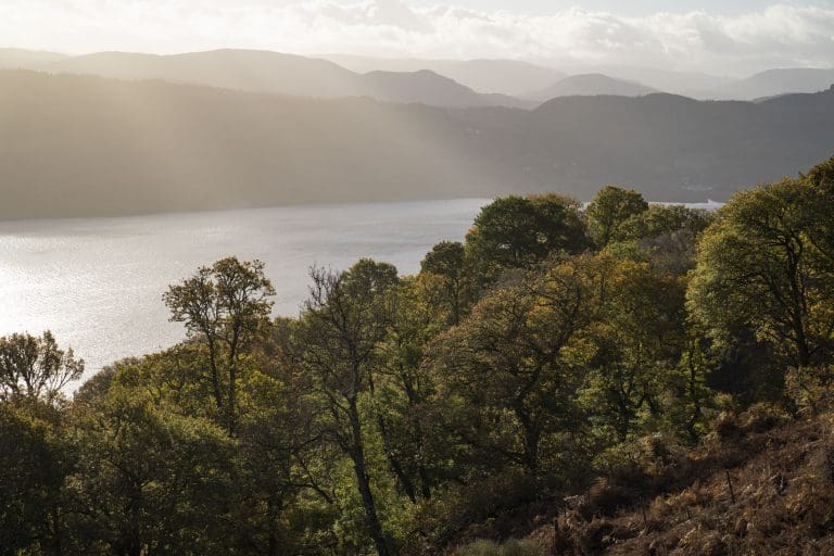 Protocol Launched For Responsible Investment In Natural Capital
