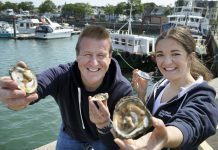 Scottish Native Oyster Season Opens 1st September  