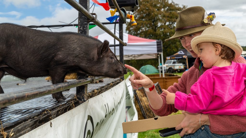 Thousands Turned out for Successful Return of the Annual Galloway Country Fair