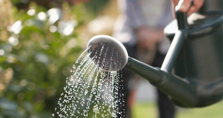 Scottish Water Working To Maintain Normal Summer Public Water Supply