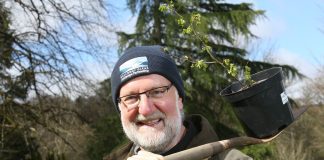 South of Scotland Tree Planting Scheme Renewed for Coming Year