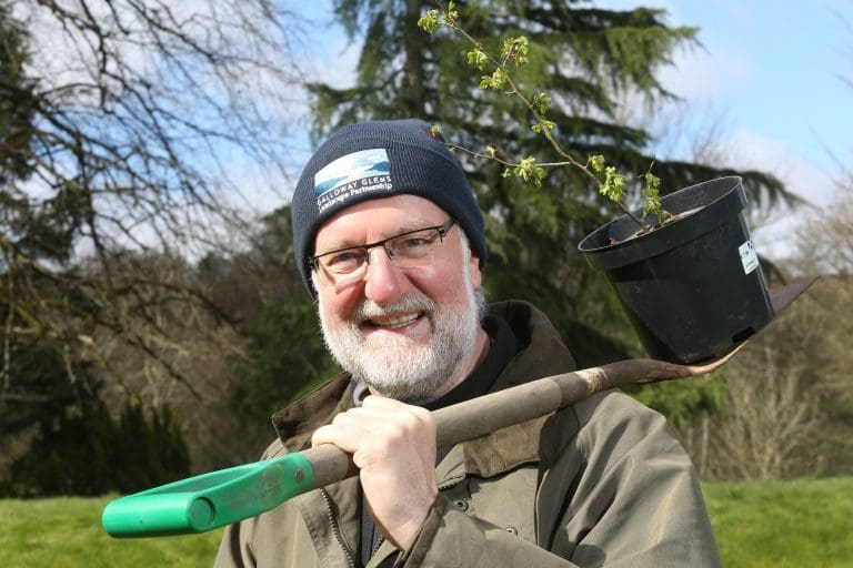 South of Scotland Tree Planting Scheme Renewed for Coming Year