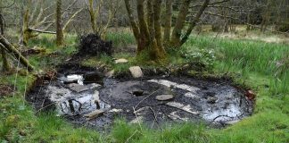 Results published from the ‘Lost Wells of Galloway’ project  