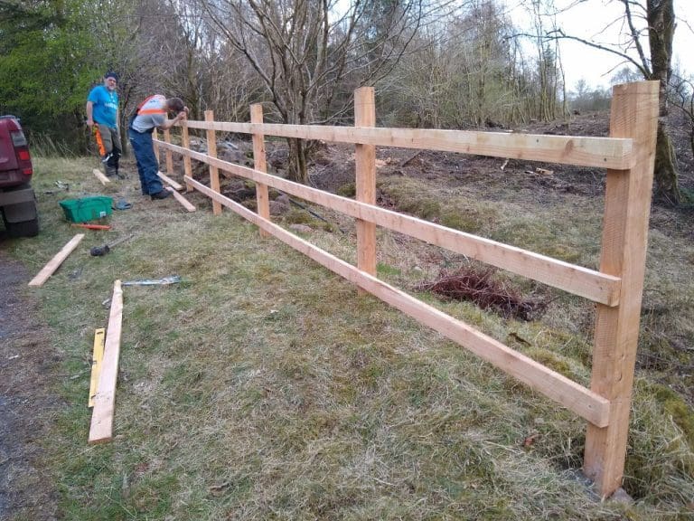 Carsphairn Community Woodland’s Apprentice Is Supporting All Aspects Of Forestry Work At Muirdrochwood Forest