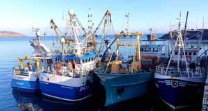 Supporting the Scottish seafood sector and supply chain