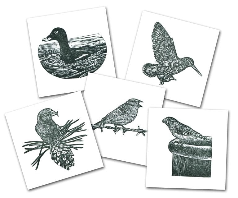 South West Scotland Printmakers Exhibition