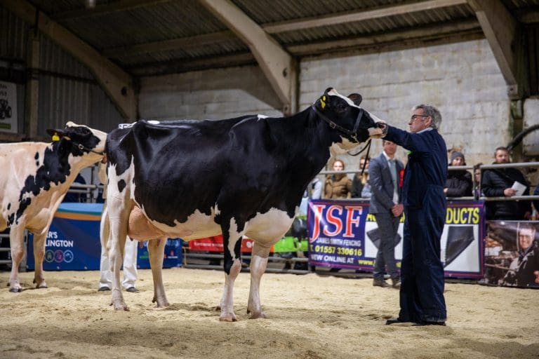 Fantastic Turnout For 2022 South West Scotland Dairy Show