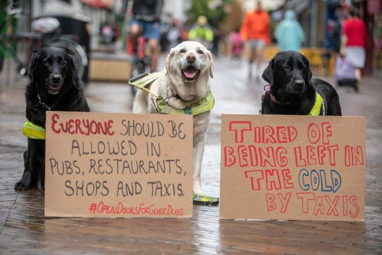 Monreith Campaigner To Highlight The Rights Of Assistance Dog Owners