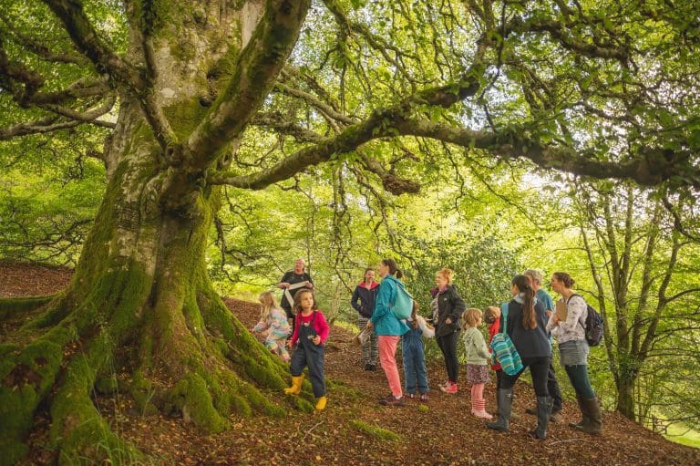Plans revealed for Galloway’s Fantastic Forest Festival!