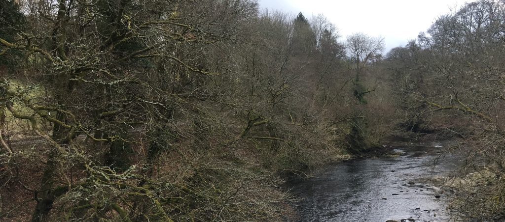 NEW GROUP AIMS TO HELP PROTECT THE RIVER NITH