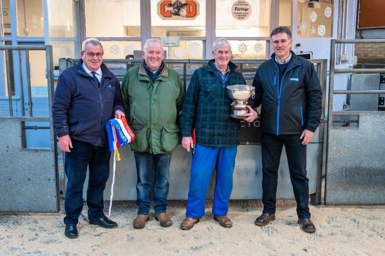 DUMFRIES MART CHRISTMAS PRIMESTOCK SHOW 07/12/2022