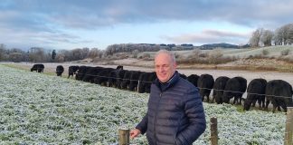 SCOTLAND’S MAJOR BEEF EVENT RETURNS TO DUMFRIES AND GALLOWAY IN 2023
