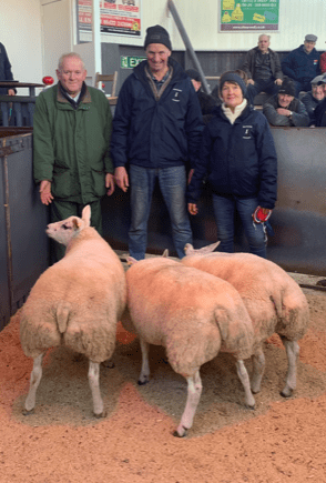 Barmurrie Beltex Lambs Champions at Wallets Christmas Show 2022