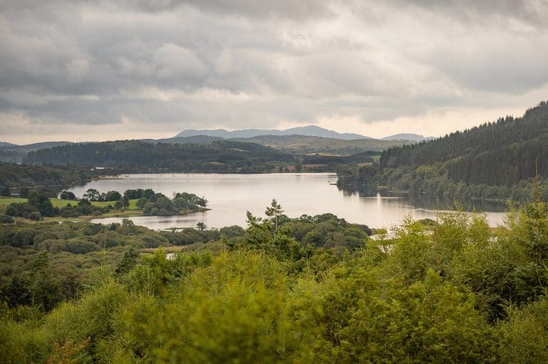 Imagining Our Future Woodlands
