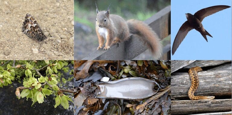 Celebrate World Wildlife Day 2023 in our UNESCO Biosphere